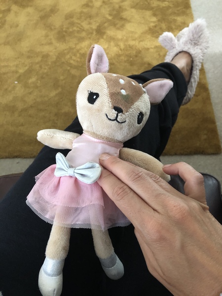 Please please help me find Twinkle!