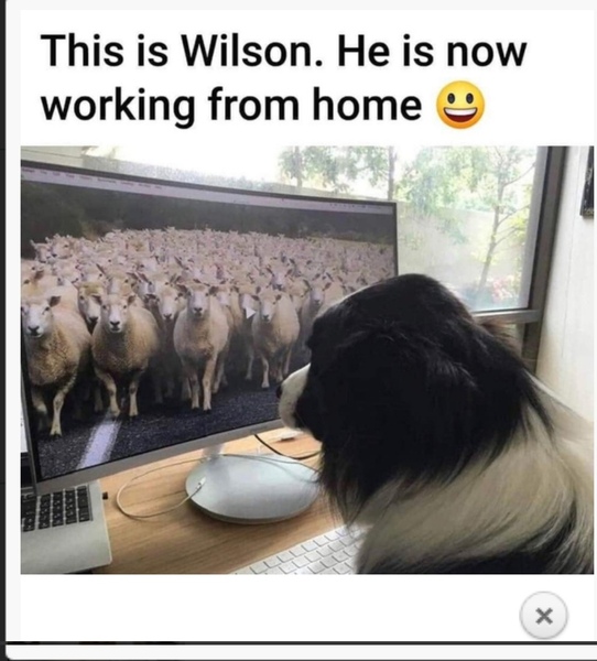 How about a funny thread?