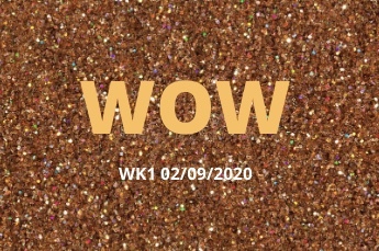 LOSE IT! September 2020