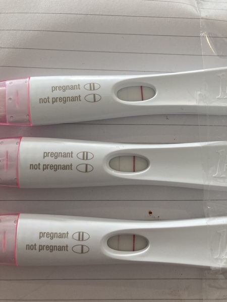 BFP rainbow babies