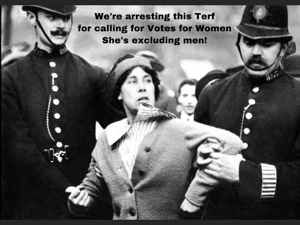 Just been called a TERF for the first time - do I get a badge or something?