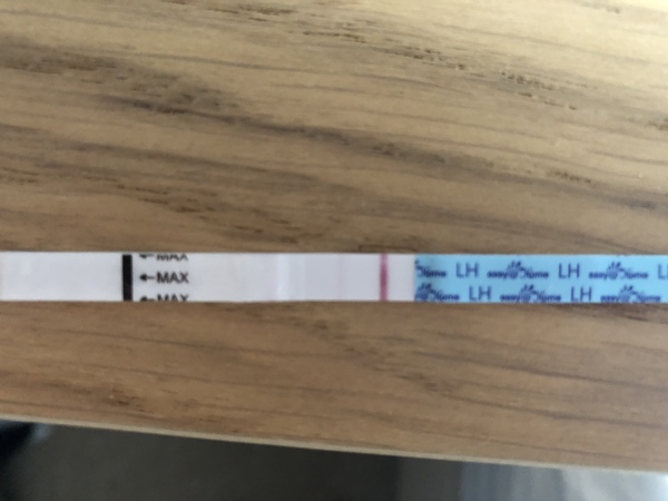 Preconception planners - still planning