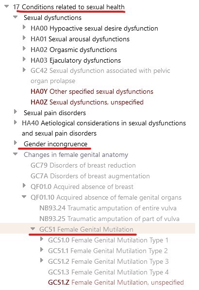 World Health Organisation removed gender dysphoria as a medical classification - what does this mean for law and policy?