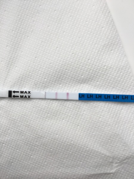Is this OPK test positive