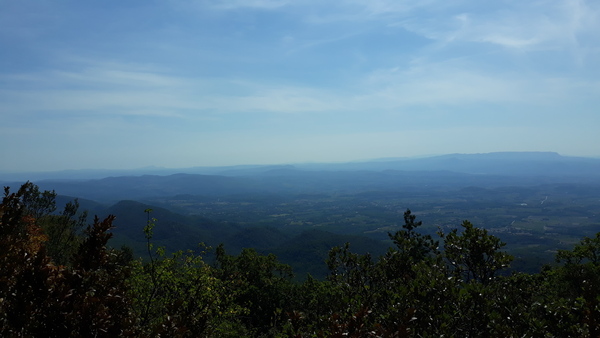 Westminstenders: Pah International Law. Who needs it?