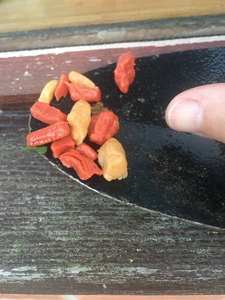 Anyone know what these are? (pic)