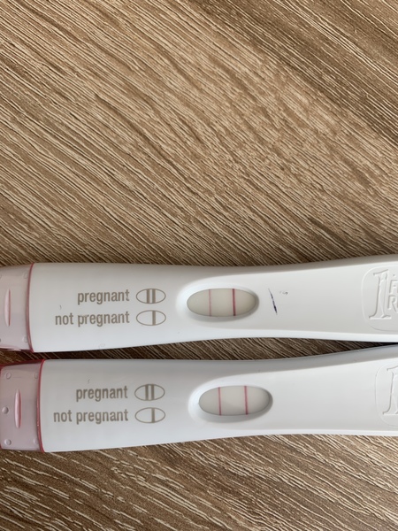 Newly Pregnant Club