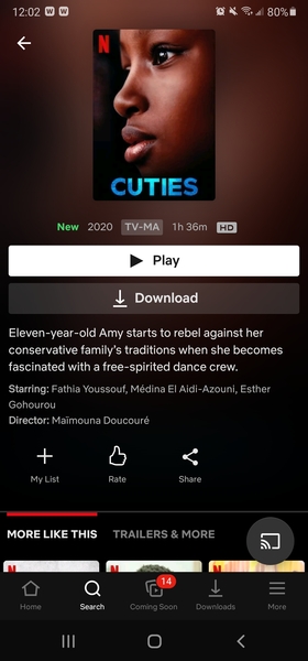Why did Netflix allow this film?