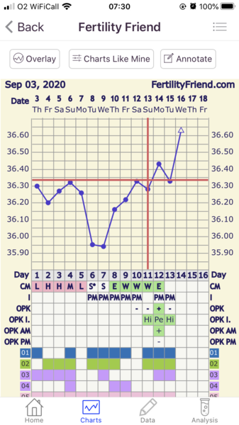 Did I fail to ovulate again?