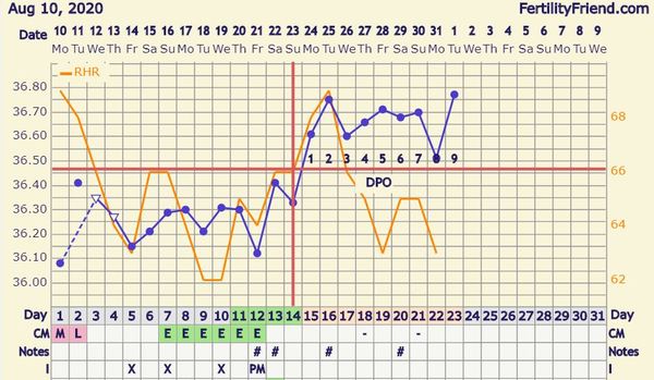 Advice for Women That Have Come off the Pill - Share your Experience :)