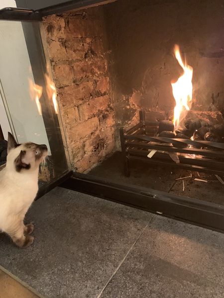 Fire Safety Advice