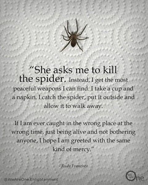 Should I be concerned at my son killing flies, bugs etc.