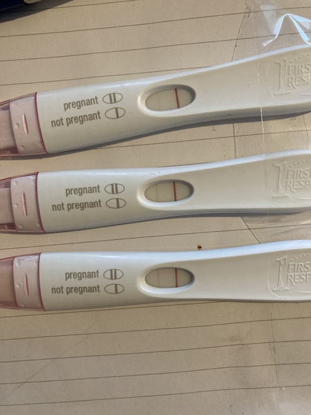 BFP rainbow babies