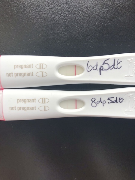 August 2020 IVF - continued
