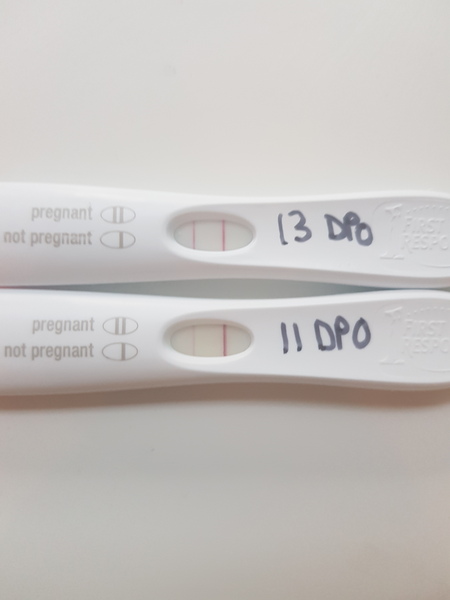Newly Pregnant Club