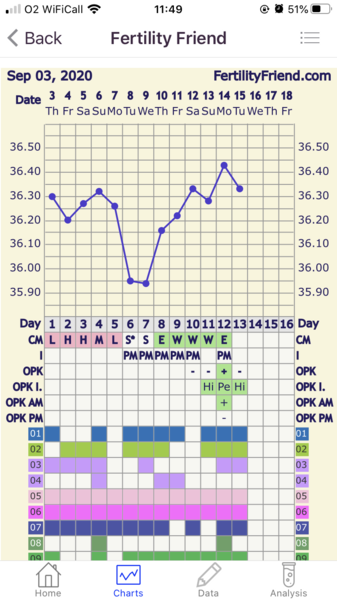 Did I fail to ovulate again?