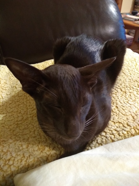 What is she?