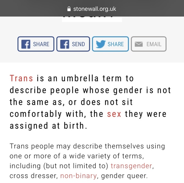 Use pronouns or face dismissal