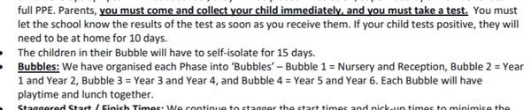 Anyone else's primary age kids in big bubbles?