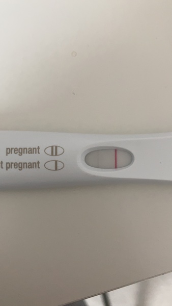 BFP rainbow babies