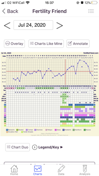 Did I fail to ovulate again?