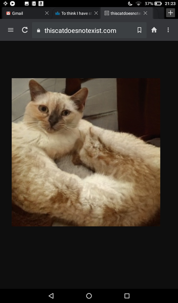 To think I have stumbled across the creepiest website ever?