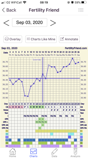 12dpo BFN on FRER but temps still high