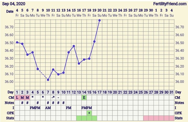 Tracking your cycle and possible BFP using RHR - part 3