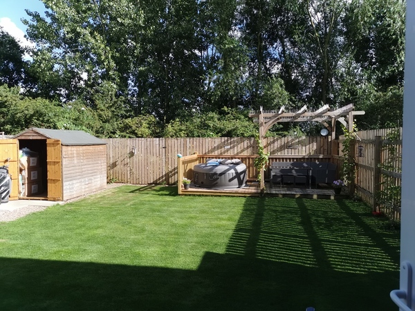 Grape vine advice and pruning