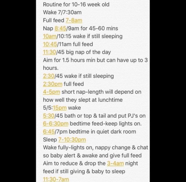 3+ month old day structure