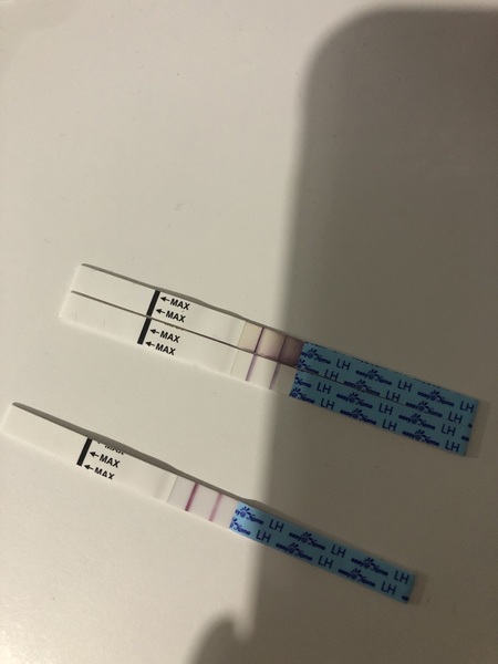 Help with Ovulation strip test