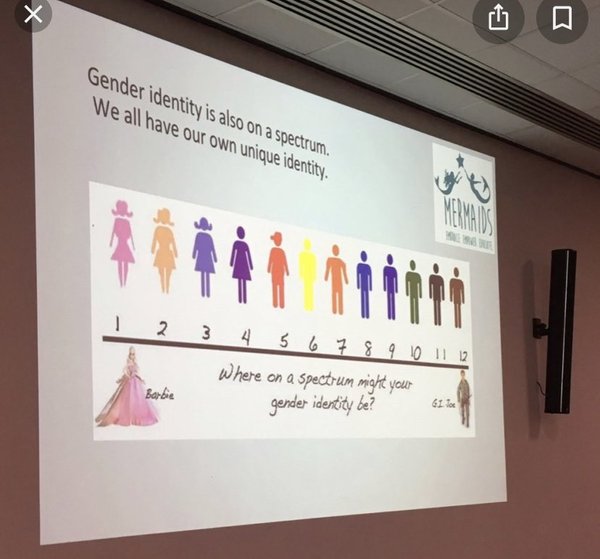 Mermaids and the evolving understanding of gender identity.