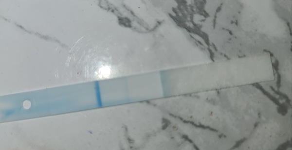 Clear blue digital