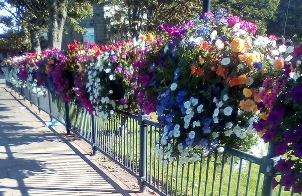 How floral is your town? As in floral displays?