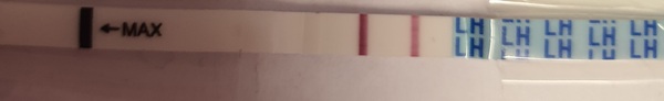 Positive opk and im worried 😟