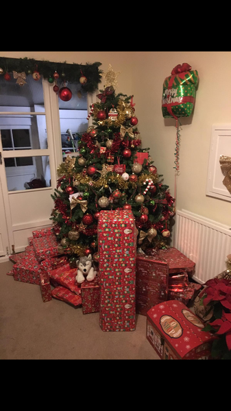 Help me find a new (perfect) Christmas tree?!
