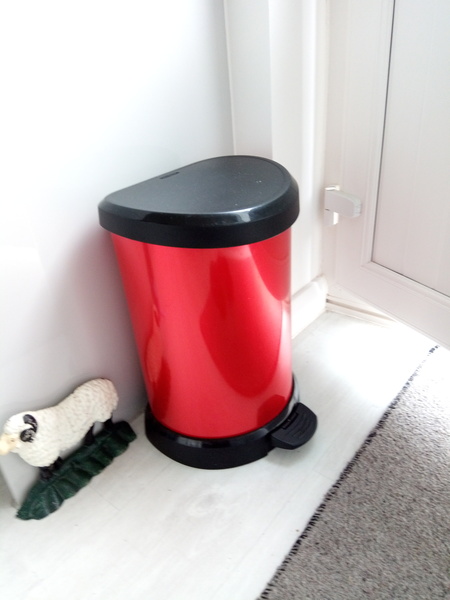 Kitchen bin question