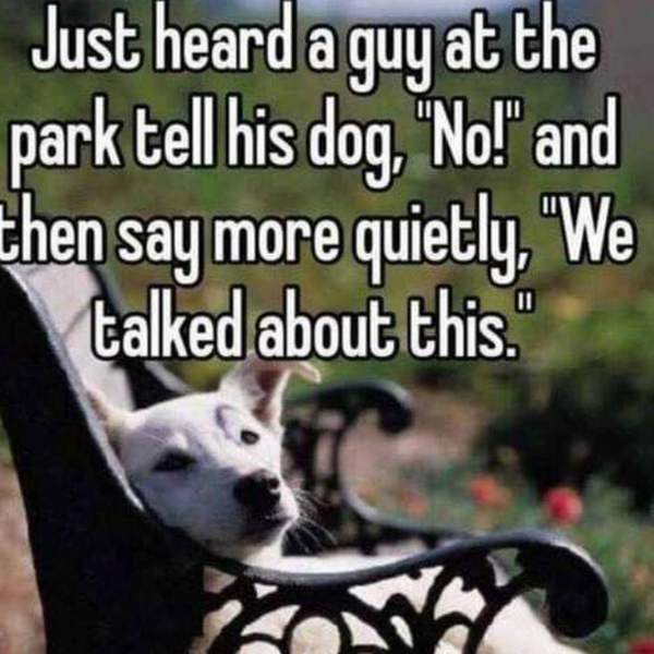 To ask the woman next door to keep it down a bit?