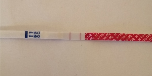 Self insemination - Any success stories?!
