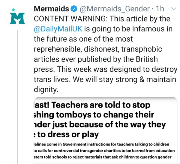 Teachers told to stop pushing stereotypes onto children, telling them they are trans