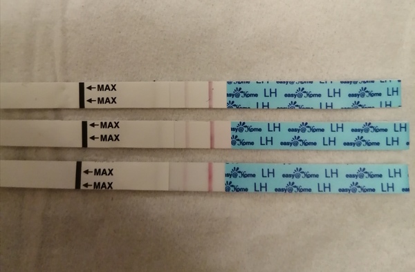 Conception:  TTC Baby no1. The crazy lot. Thread 3!!!