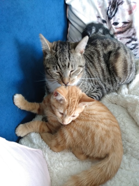 What's your DCat up to today? (Thread 8)