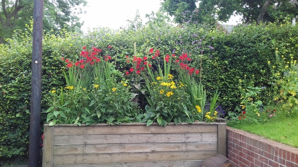 Raised beds over slabs?