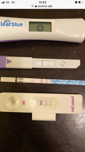 To ask for your help with ovulation tests?