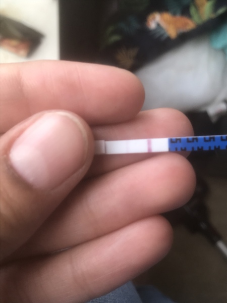 Ovulation Strips