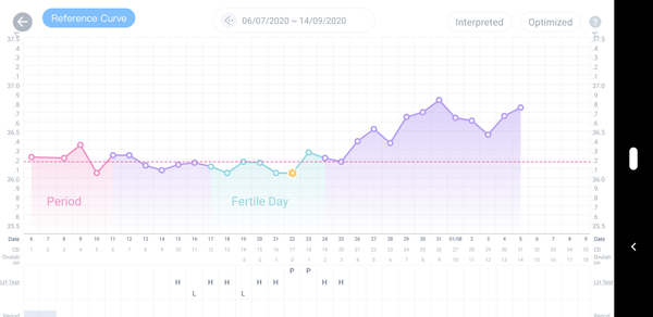 Bbt / early pregnancy