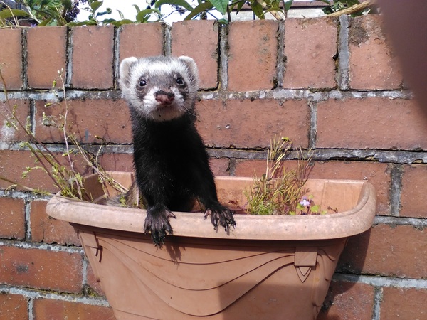 'The happy Place Cafe' AKA the cafe is open thread 3