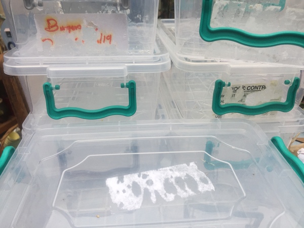 Removing sticky label residue from plastic boxes - tips please!