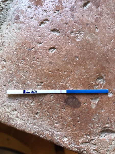 TTC after miscarriage