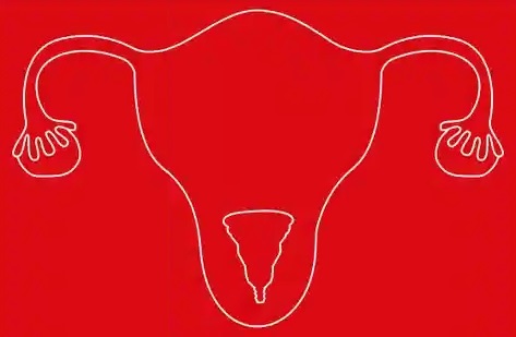 Pantone create new colour red based on...